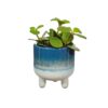 mojave blue planter