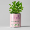 for the best mum tea growing kit